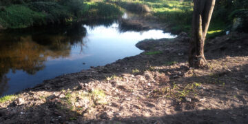 Šiukšlynu paversta buvusi klebonija virsta grožio oaze