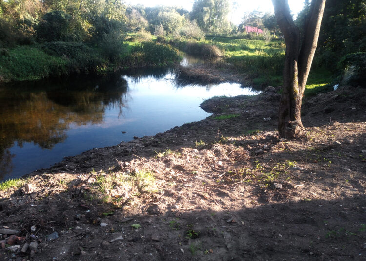 Šiukšlynu paversta buvusi klebonija virsta grožio oaze