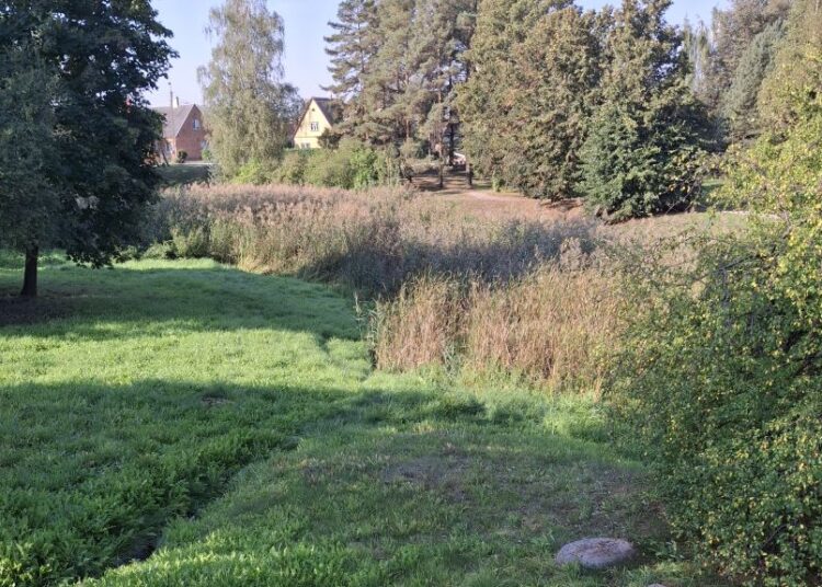 Atsibudo, nerado moters  ir nusprendė, kad nuskendo