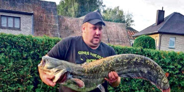 Pagautas šamas – naujas Biržų ežerų rekordininkas