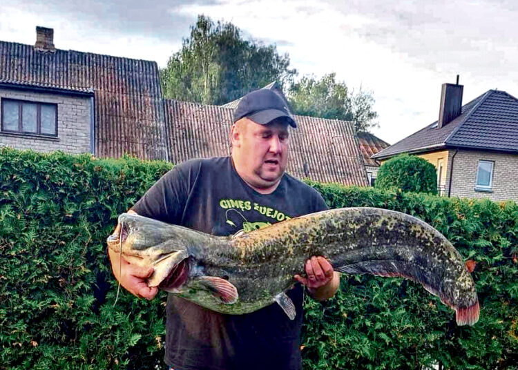 Pagautas šamas – naujas Biržų ežerų rekordininkas