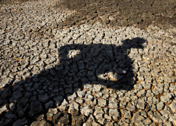 Artėjame prie stichinės sausros ribos