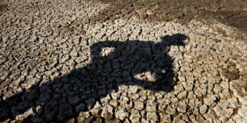 Artėjame prie stichinės sausros ribos