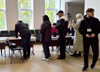 Rinkimus fiksavo „incognito“ svetimšaliai