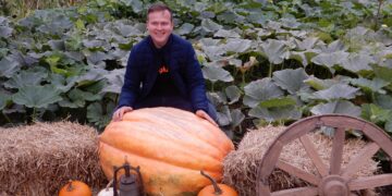 Smulkieji ūkiai gali kreiptis paramos plėtrai ir taikyti supaprastintą pirkimo procedūrą