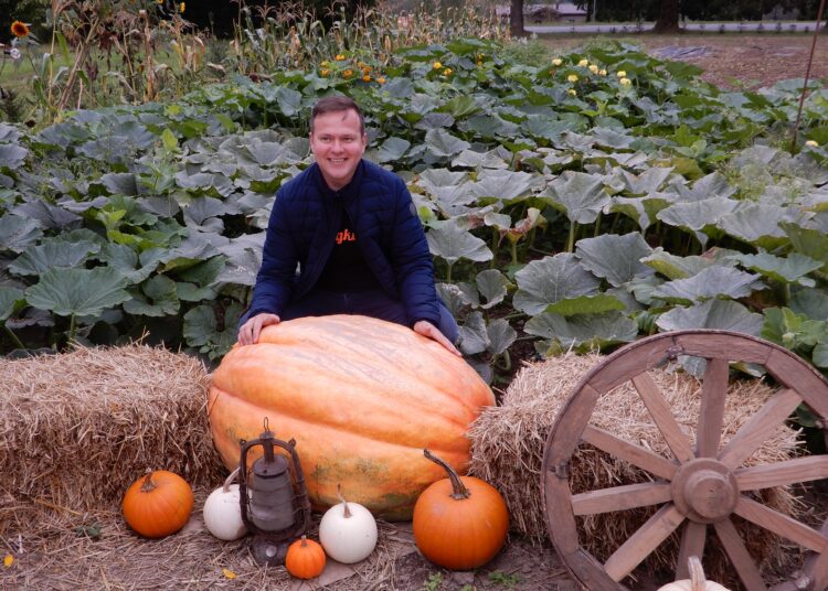 Smulkieji ūkiai gali kreiptis paramos plėtrai ir taikyti supaprastintą pirkimo procedūrą