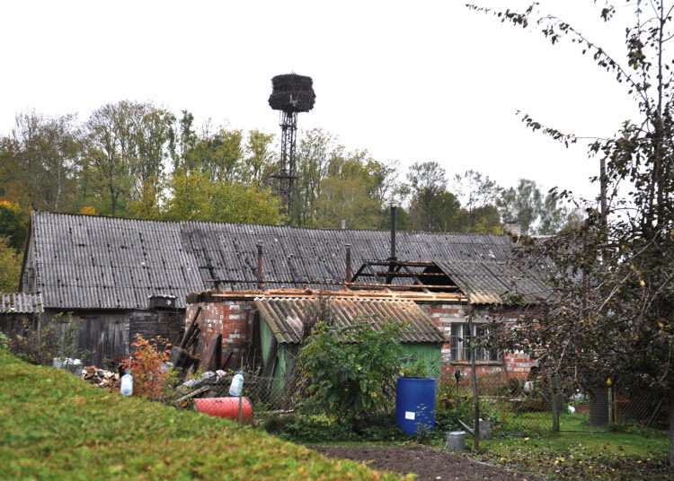 Auksinių rankų meistrą „pavedė“ nesuveikusi įranga