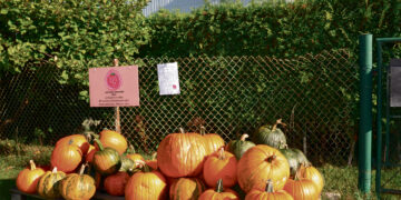 Apie artėjantį Helovyną praneša moliūgai