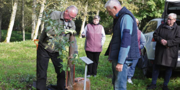 Ąžuolą maitins ir sodintojų geroji energija
