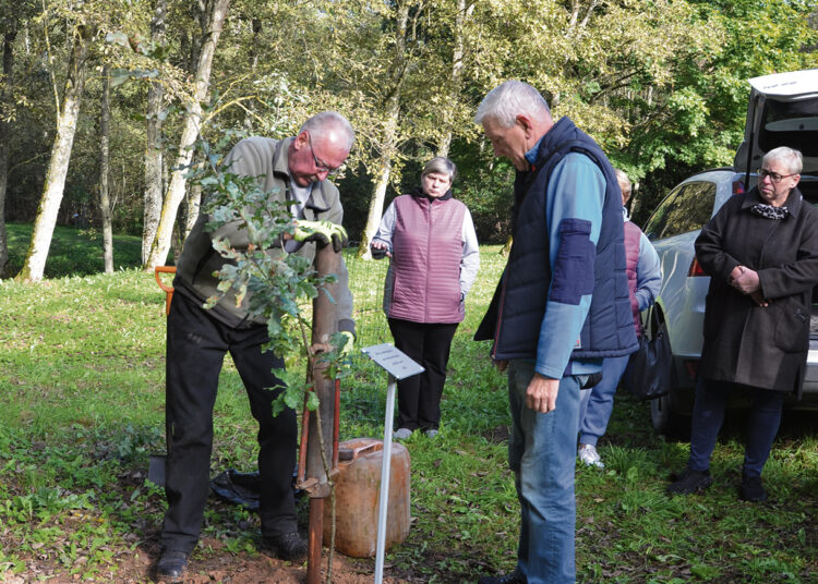 Ąžuolą maitins ir sodintojų geroji energija