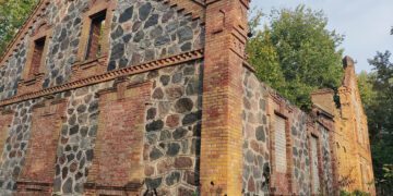 Skrebiškio dvaro griuvėsius pardavinės aukcione