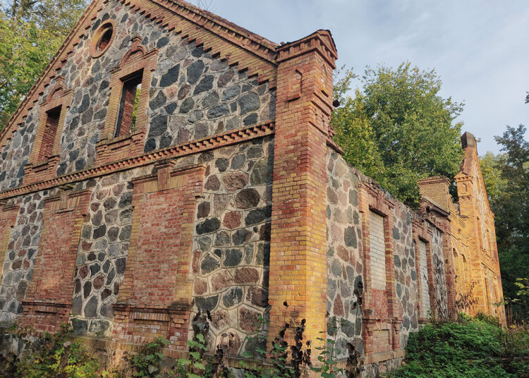 Skrebiškio dvaro griuvėsius pardavinės aukcione