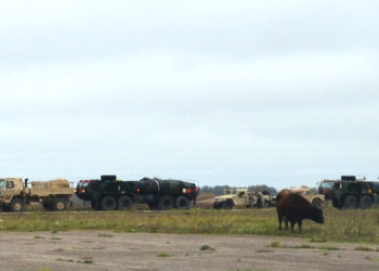 Rinkimai Amerikoje, amerikiečiai – Biržuose