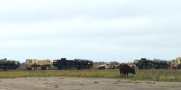 Rinkimai Amerikoje, amerikiečiai – Biržuose