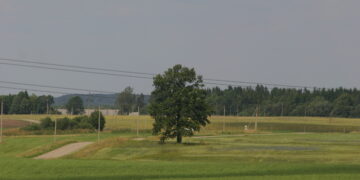 Mažesnė administracinė našta laukus tręšiantiems mėšlu