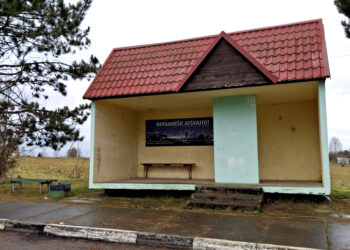 Kaip paprastai išsprendžiamos problemos