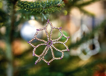 Kada Biržuose bus įžiebta kalėdinė eglė?