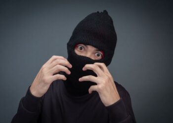 Pretendentas į kvailiausio bėglio titulą ir kitos vagystės