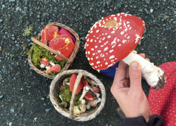 Sūnaus humoro nesuprato