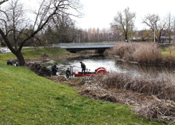 Nendriapjūtė upių ir ežerų pakrantėse