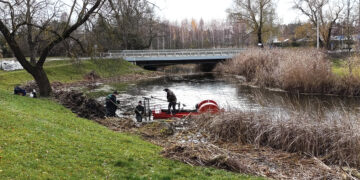 Nendriapjūtė upių ir ežerų pakrantėse
