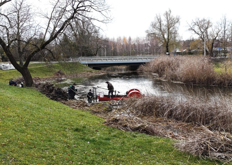 Nendriapjūtė upių ir ežerų pakrantėse