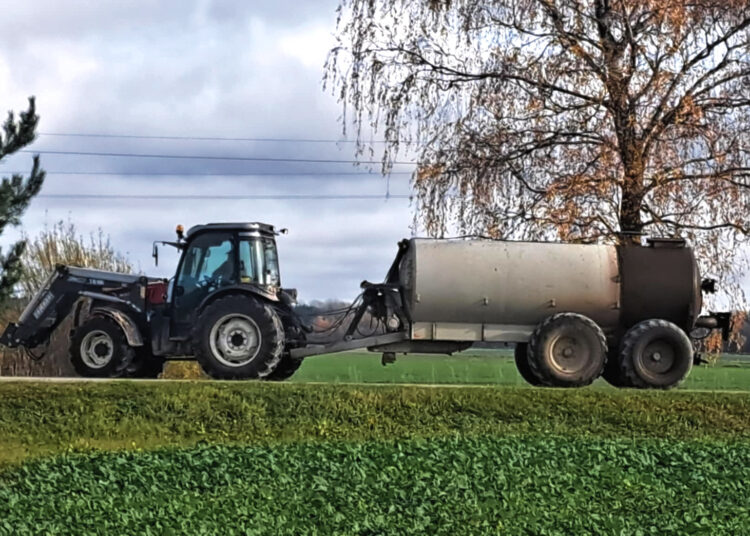 Ar sulauks žmoniškumo per Vėlines smardinami gyventojai?