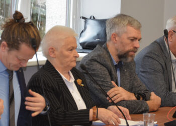 Kokia kryptis patogiausia politikams?