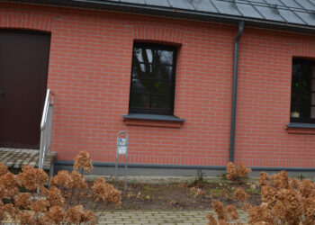 Pirma pagamino ženklą, dabar ieško jam vietos