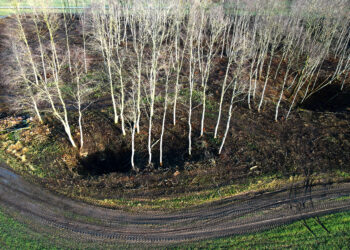 Mantagailiškyje – atradimas speleologams