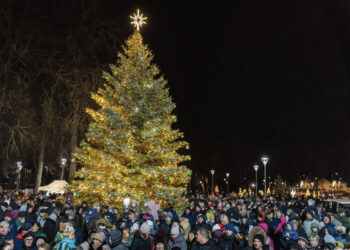 Įžiebta kalėdinė eglutė