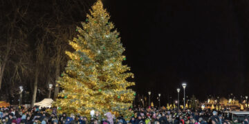 Įžiebta kalėdinė eglutė