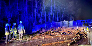 Kelią užtvėrė nuslydęs miškovežis