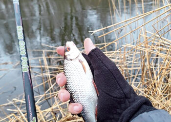 Prieššventinė žūklė Nemunėlyje