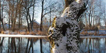 Praėję metai – šilčiausi per šimtmetį
