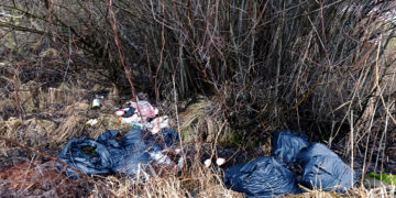 Dar vienas šiukšlynas Biržų mieste