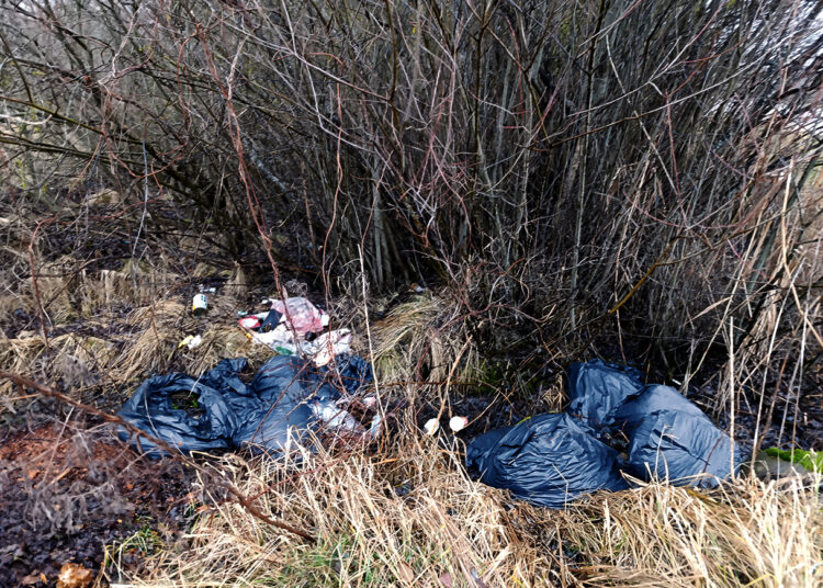 Dar vienas šiukšlynas Biržų mieste