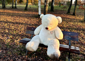 Naujas Rotary narys?