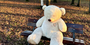 Naujas Rotary narys?