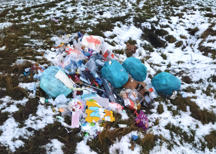 Išvertė šiukšles ir pavogė… šiukšlių konteinerį