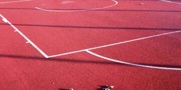 Kai vedžioja šunis… gyvuliai