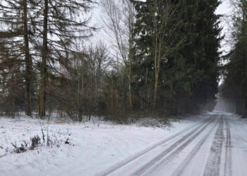 Ar Biržų rajone bus pažymėtos vietos, susijusios su čia gimusiais pasaulinio garso menininkais?