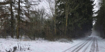 Ar Biržų rajone bus pažymėtos vietos, susijusios su čia gimusiais pasaulinio garso menininkais?