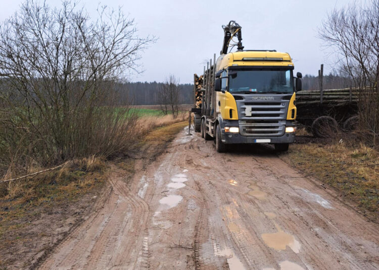 Mišką masiškai vežti pradėjo atšilus orams
