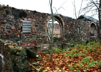 Koks likimas laukia Papilio dvaro sodybos?