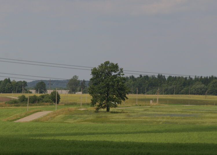 Laukus tręšiantiems tik mėšlu ir (ar) srutomis tręšimo planų nereikia