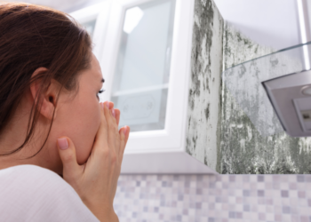 Drėgmės surinkėjas mažose erdvėse – sprendimas butams, vonioms ir rūsiams