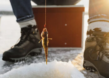 Žiema bando žmonių budrumą ir saugumą