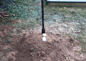 Perlaidojo rastus neatpažintų žmonių kaulus