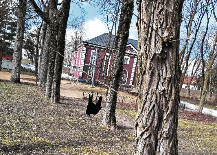 Barbariška kova su varnomis